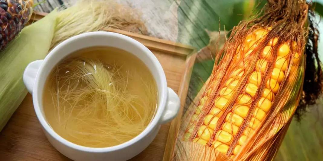 Yılda 2 kez yapana hastalık uğramıyor! Dr. Saraçoğlu altın kadar değerli tavsiyeyi paylaştı: Püsküllerini çöpe atmayın 2